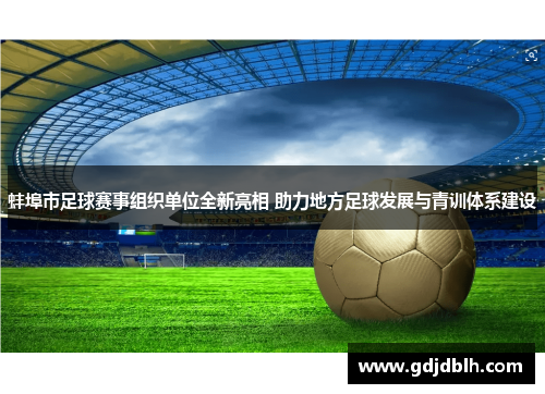 蚌埠市足球赛事组织单位全新亮相 助力地方足球发展与青训体系建设